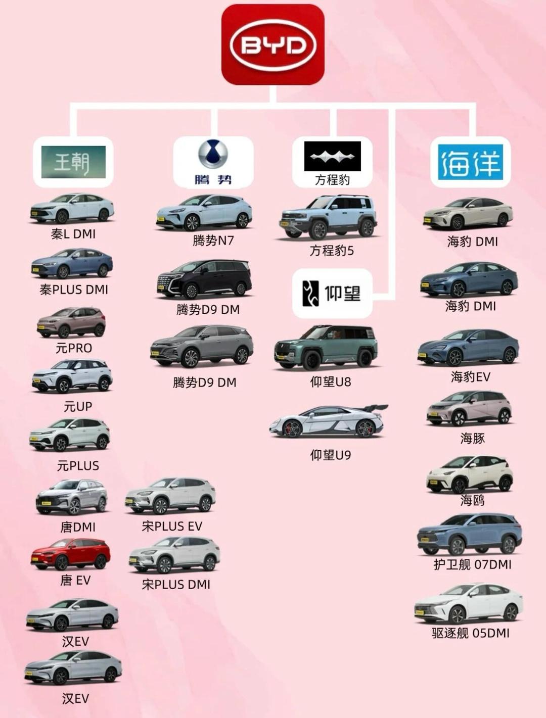 技术平权与品牌高端化